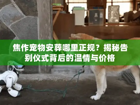 焦作宠物安葬哪里正规？揭秘告别仪式背后的温情与价格