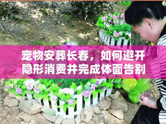 宠物安葬长春，如何避开隐形消费并完成体面告别？