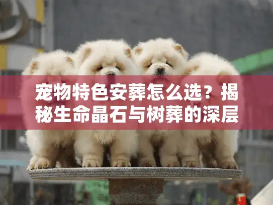 宠物特色安葬怎么选？揭秘生命晶石与树葬的深层价值
