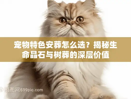 宠物特色安葬怎么选？揭秘生命晶石与树葬的深层价值