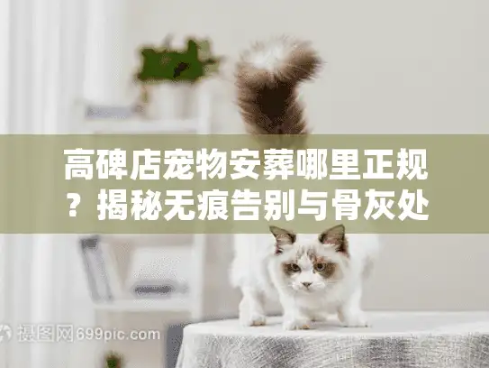 高碑店宠物安葬哪里正规？揭秘无痕告别与骨灰处理全流程