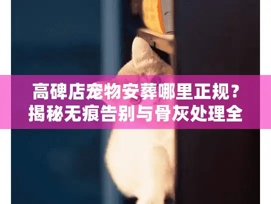 高碑店宠物安葬哪里正规？揭秘无痕告别与骨灰处理全流程