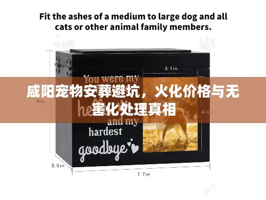 咸阳宠物安葬避坑，火化价格与无害化处理真相