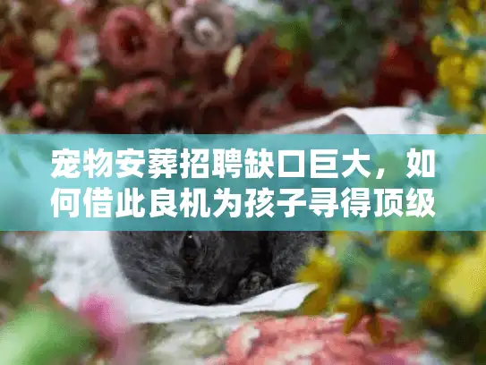 宠物安葬招聘缺口巨大，如何借此良机为孩子寻得顶级善终团队