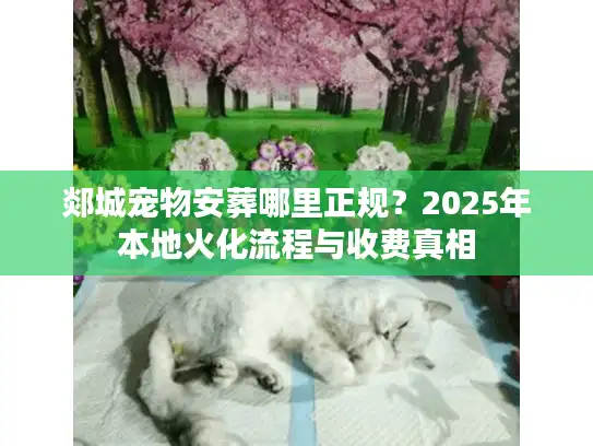郯城宠物安葬哪里正规？2025年本地火化流程与收费真相