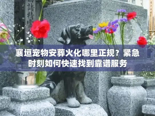 襄垣宠物安葬火化哪里正规？紧急时刻如何快速找到靠谱服务