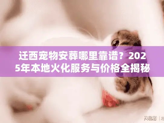 迁西宠物安葬哪里靠谱？2025年本地火化服务与价格全揭秘