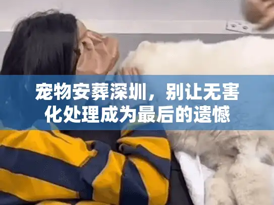宠物安葬深圳，别让无害化处理成为最后的遗憾