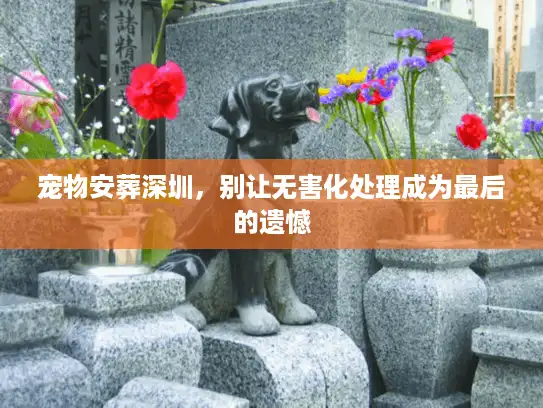 宠物安葬深圳，别让无害化处理成为最后的遗憾