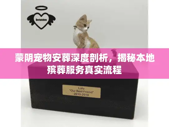 蒙阴宠物安葬深度剖析，揭秘本地殡葬服务真实流程