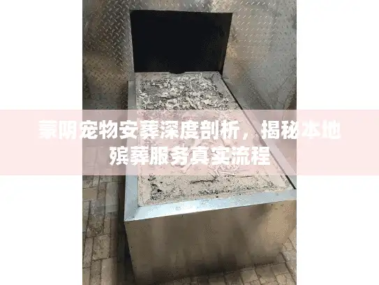 蒙阴宠物安葬深度剖析，揭秘本地殡葬服务真实流程