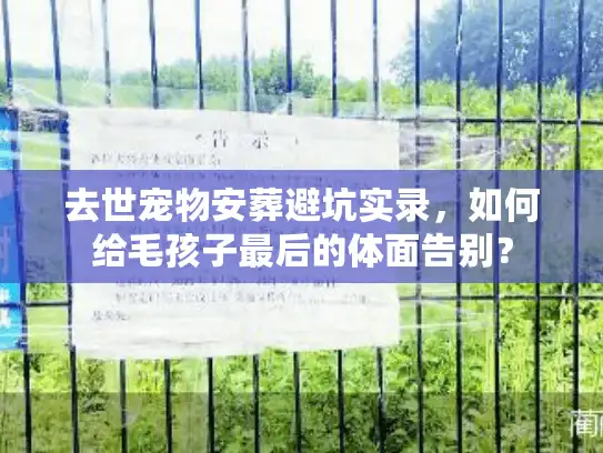 去世宠物安葬避坑实录，如何给毛孩子最后的体面告别？