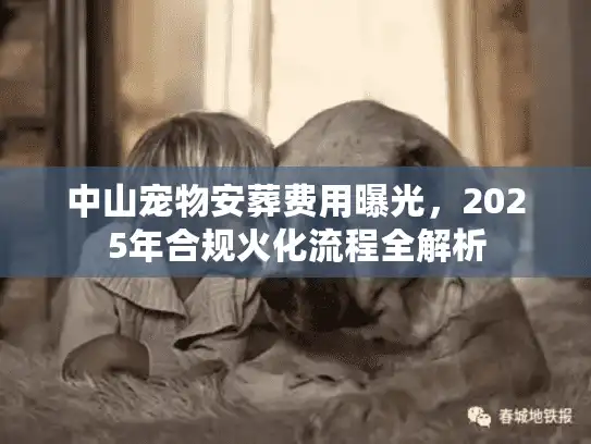 中山宠物安葬费用曝光，2025年合规火化流程全解析