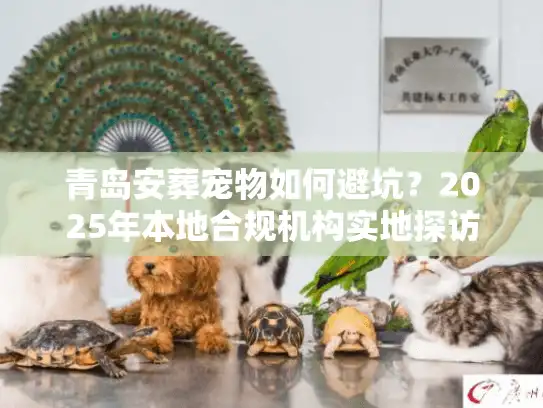 青岛安葬宠物如何避坑？2025年本地合规机构实地探访与收费明细