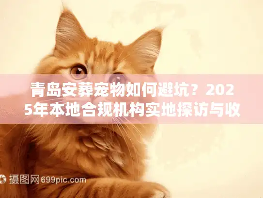 青岛安葬宠物如何避坑？2025年本地合规机构实地探访与收费明细