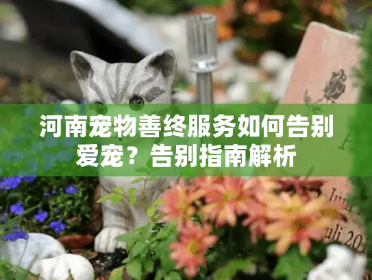河南宠物善终服务如何告别爱宠？告别指南解析