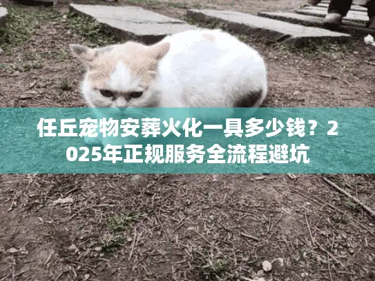 任丘宠物安葬火化一具多少钱？2025年正规服务全流程避坑