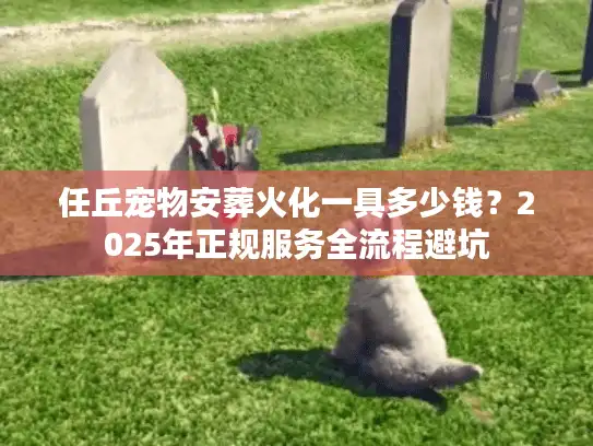 任丘宠物安葬火化一具多少钱？2025年正规服务全流程避坑