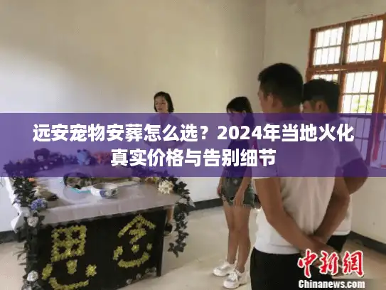 远安宠物安葬怎么选？2024年当地火化真实价格与告别细节