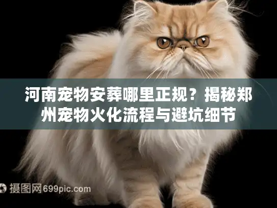 河南宠物安葬哪里正规？揭秘郑州宠物火化流程与避坑细节