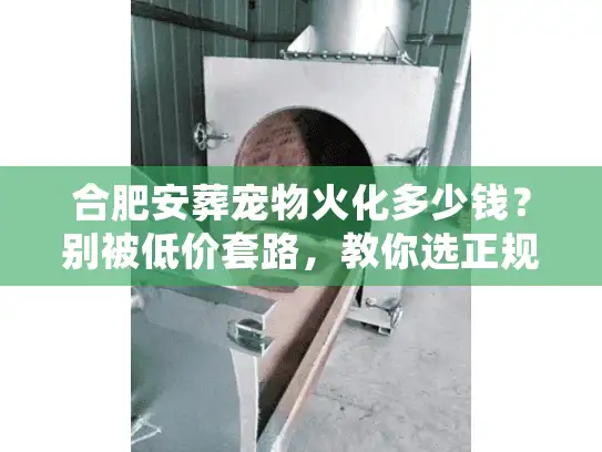 合肥安葬宠物火化多少钱？别被低价套路，教你选正规机构