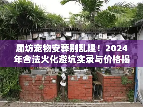 廊坊宠物安葬别乱埋！2024年合法火化避坑实录与价格揭秘