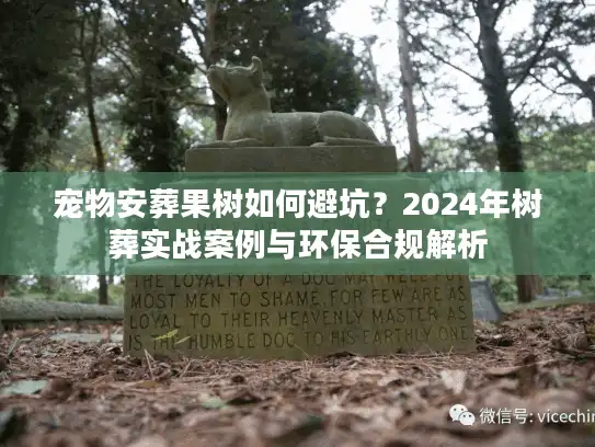 宠物安葬果树如何避坑？2024年树葬实战案例与环保合规解析