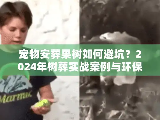 宠物安葬果树如何避坑？2024年树葬实战案例与环保合规解析