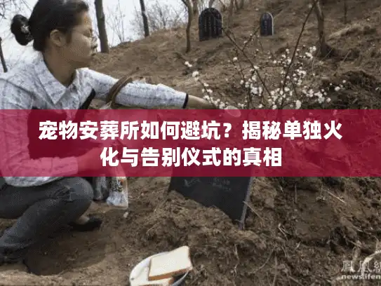 宠物安葬所如何避坑？揭秘单独火化与告别仪式的真相