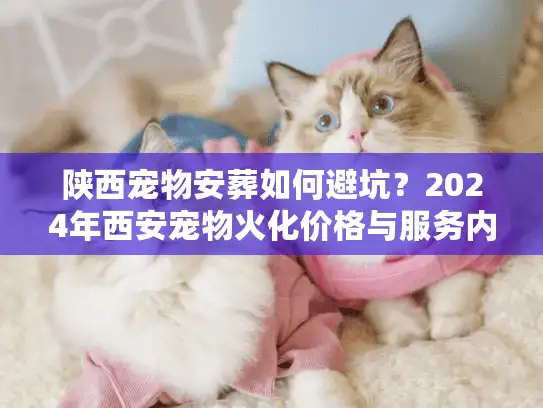 陕西宠物安葬如何避坑？2024年西安宠物火化价格与服务内幕