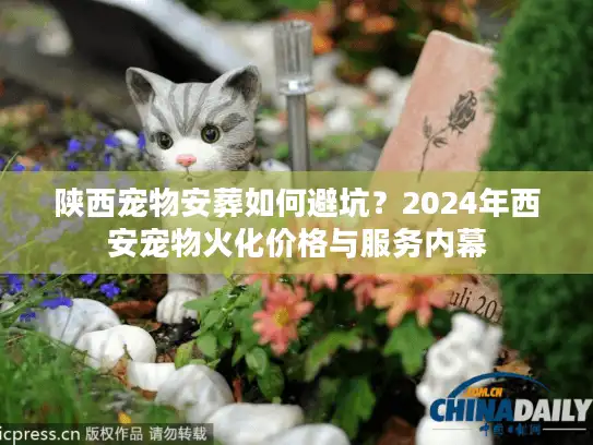 陕西宠物安葬如何避坑？2024年西安宠物火化价格与服务内幕
