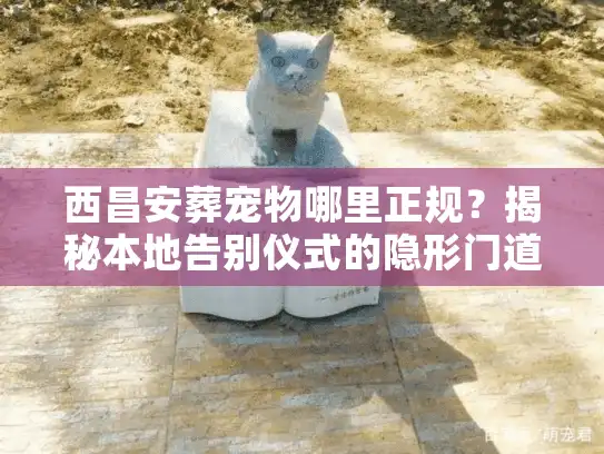 西昌安葬宠物哪里正规？揭秘本地告别仪式的隐形门道