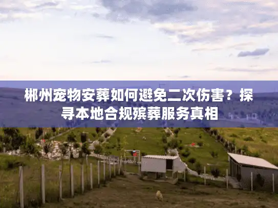 郴州宠物安葬如何避免二次伤害？探寻本地合规殡葬服务真相