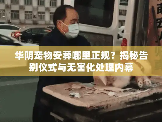 华阴宠物安葬哪里正规？揭秘告别仪式与无害化处理内幕