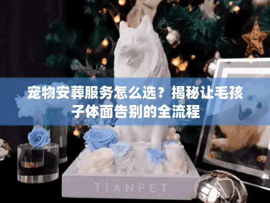 宠物安葬服务怎么选？揭秘让毛孩子体面告别的全流程