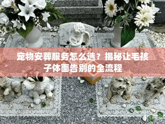 宠物安葬服务怎么选？揭秘让毛孩子体面告别的全流程