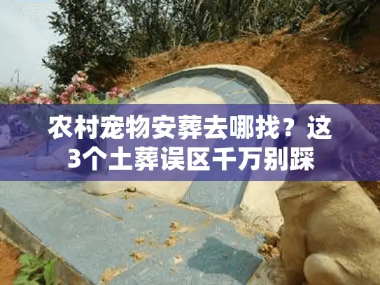 农村宠物安葬去哪找？这3个土葬误区千万别踩
