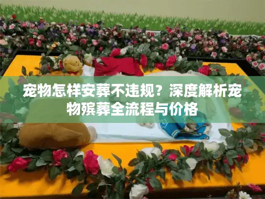宠物怎样安葬不违规？深度解析宠物殡葬全流程与价格