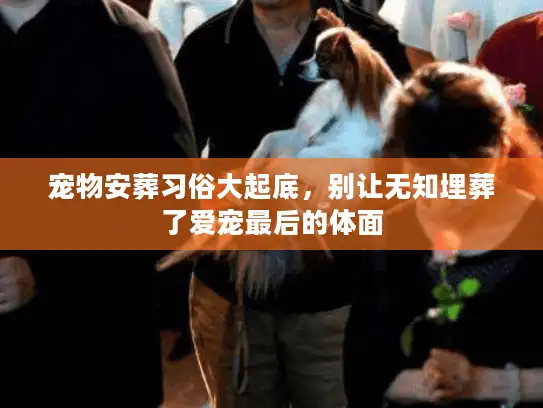 宠物安葬习俗大起底，别让无知埋葬了爱宠最后的体面
