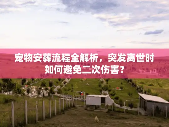 宠物安葬流程全解析，突发离世时如何避免二次伤害？