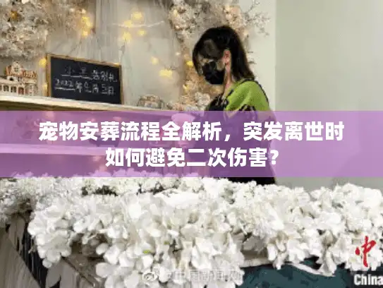 宠物安葬流程全解析，突发离世时如何避免二次伤害？