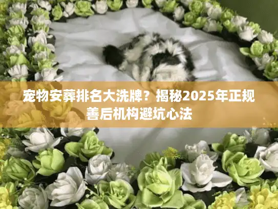 宠物安葬排名大洗牌？揭秘2025年正规善后机构避坑心法