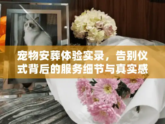 宠物安葬体验实录，告别仪式背后的服务细节与真实感受