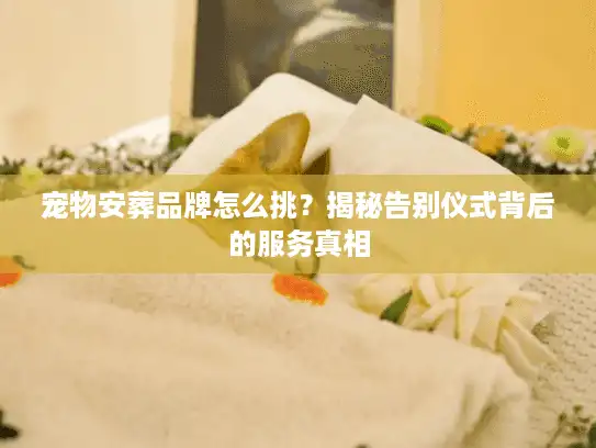 宠物安葬品牌怎么挑？揭秘告别仪式背后的服务真相
