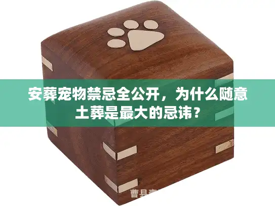 安葬宠物禁忌全公开，为什么随意土葬是最大的忌讳？