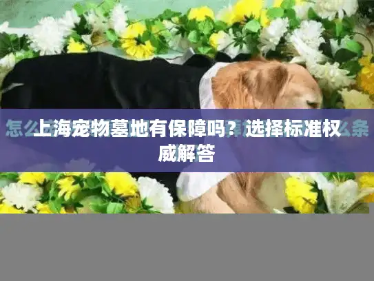 上海宠物墓地有保障吗？选择标准权威解答