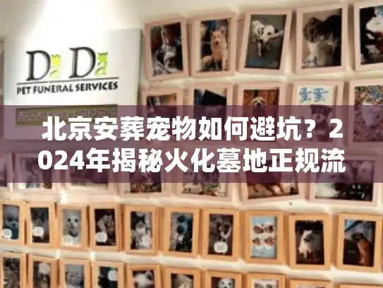 北京安葬宠物如何避坑？2024年揭秘火化墓地正规流程与价格