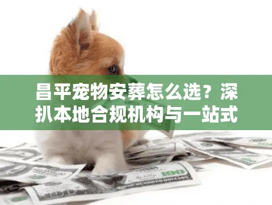 昌平宠物安葬怎么选？深扒本地合规机构与一站式告别服务