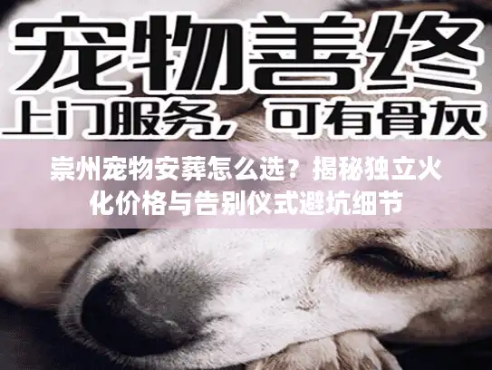 崇州宠物安葬怎么选？揭秘独立火化价格与告别仪式避坑细节