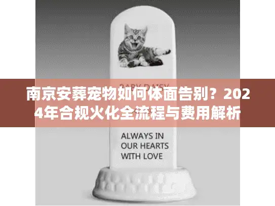 南京安葬宠物如何体面告别？2024年合规火化全流程与费用解析